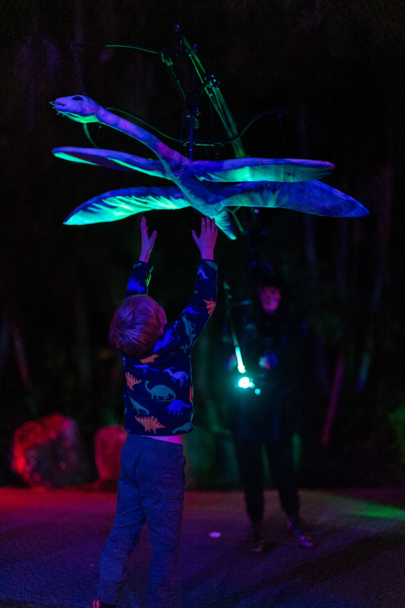 Step back in time to witness the wonder and let your imagination go wild!